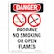Signmission OSHA Danger Sign, Propane No Smoking, 24in X 18in Aluminum, 18" W, 24" L, Portrait OS-DS-A-1824-V-1541 - alternate 1